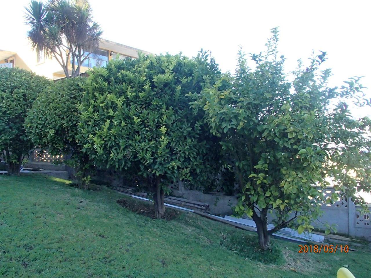 Hotel Camino Del Alto Vina del Mar Bagian luar foto